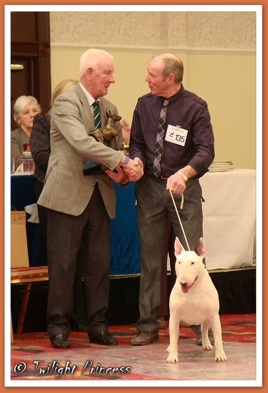 Ch. Eyona Star at Aricon winning Regent Trophy 2009
